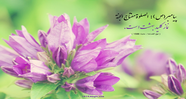 حی علی البهشت
