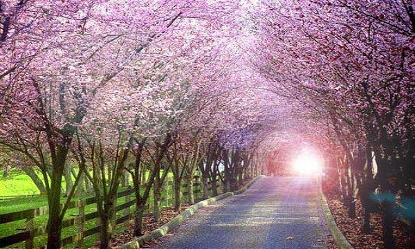 وعده بهشت به نمازگزاران در قرآن