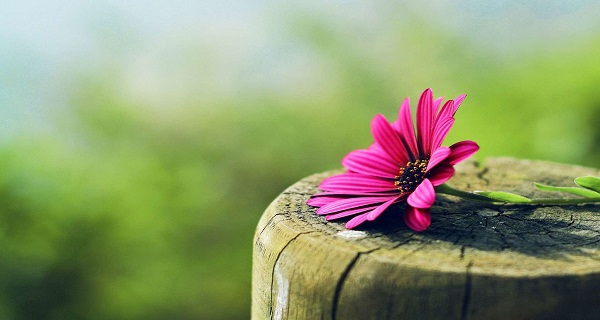آداب و مستحبات نماز در روایات (1)