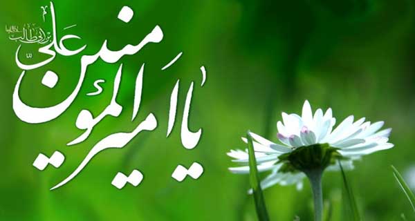 سیره امام علی علیه السلام در نماز