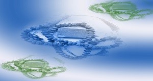 تاثیر نماز بر شخصیت منزوی(اسكیزوئید)