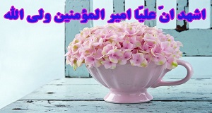 بحث فقهی استدلالی درباره‌ی شهادت ثالثه