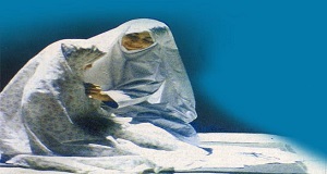 نماز؛ نردبانی به‌سوی معرفت الهی