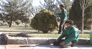 نقش نماز در اصلاحات فرهنگی،سیاسی و اجتماعی1
