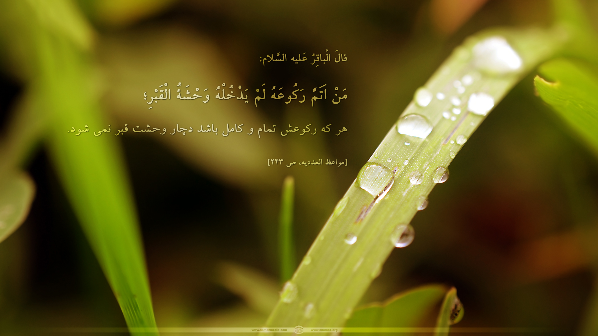 پوستر احادیث امام باقر(ع) 1