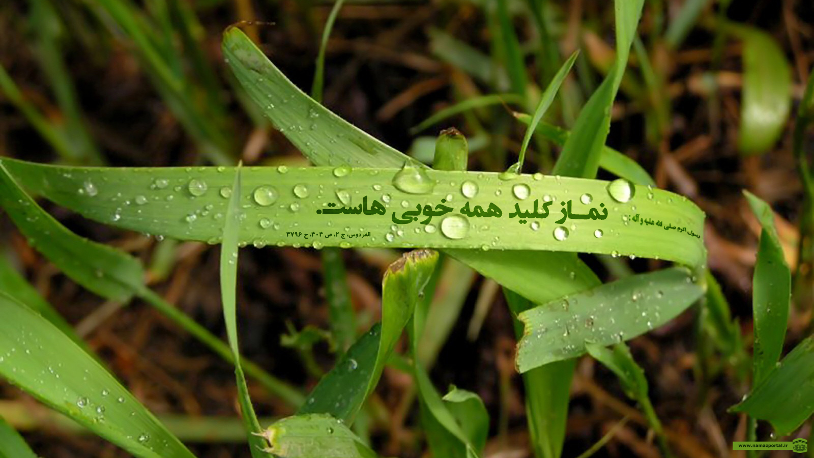 پوستر احادیث پیامبر گرامی اسلام(ص) 4