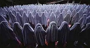 نماز و نظام تربیتی کشور