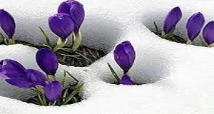 دقيقه‏ هاي زلال / مجموعه شعر