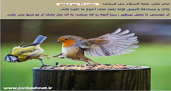 نماز و نجات از بخل