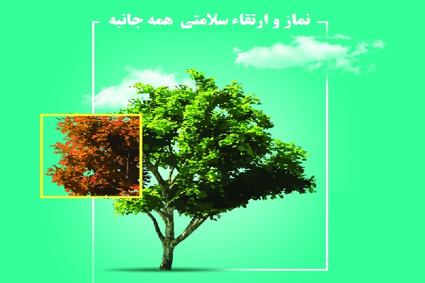 بررسی نقش و عوامل تأثیرگذار نماز در ارتقاء سلامتی  همه جانبه جسمی، روانی و اجتماعی