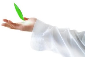 اهمیت نماز / نقش تربیتی نماز