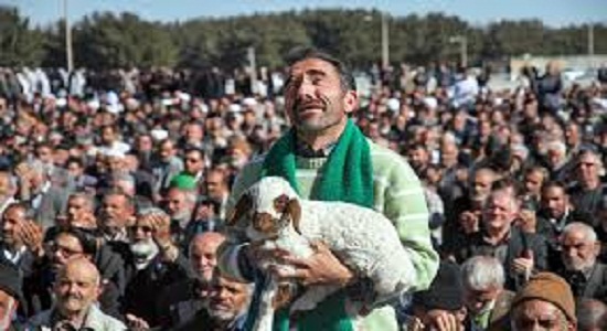 اقامه نماز طلب باران در بیرجند