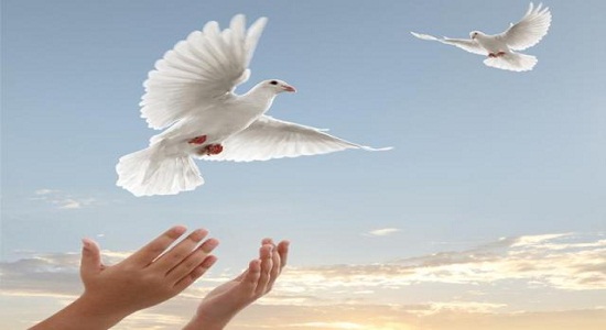 نمازگزاران مسجد جواد الائمه اصفهان یک زندانی را آزاد کردند