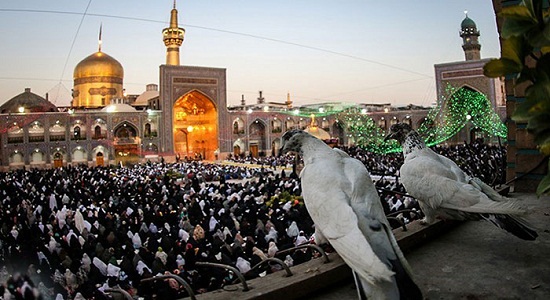 برترین عمل از منظر امام رضا (ع)