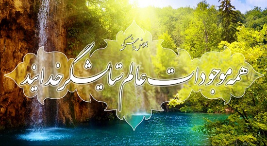 تسبیح سراسری عالم