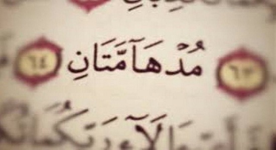 رقابت ۱۴۰۰ کردستانی در جشنواره قرآنی مدهامتان