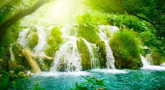 تاءثیر خواندن سوره ((ص )) در نماز