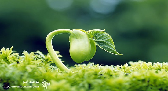 عبادت و زندگی