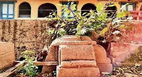 مسجد 400 ساله در گجرات هندوستان از زیر خس و خاشاک سر درآورد