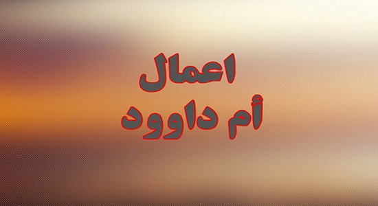 اعمال امّ داوود را چگونه انجام دهیم؟