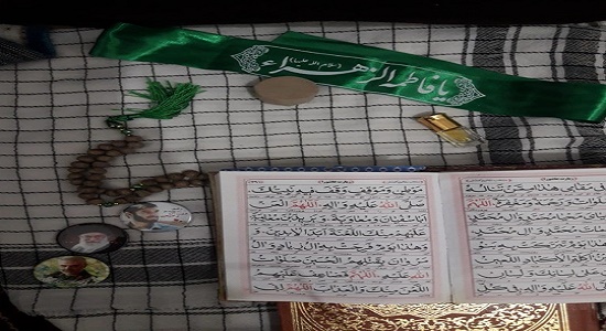 ﺍﺟﺮﺍﯼ ﭘﻮﯾﺶ «ﻫﺮ ﺧﺎﻧﻪ؛ ﯾﮏ ﻣﺴﺠﺪ - ﯾﮏ ﻧﻤﺎﺯ ﺟﻤﺎﻋﺖ» ﺩﺭ بوشهر