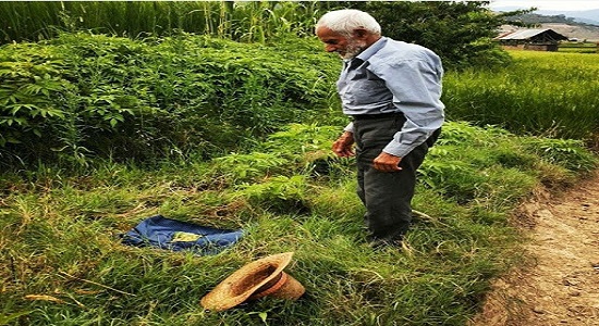 قصه های کودکانه؛ پدربزرگ عجیب من