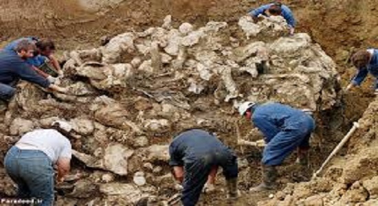 اقامه نماز در مراسم یادبود بیست و پنجمین سالگرد نسل کشی سربرنیتسا در بوسنی(1995) 