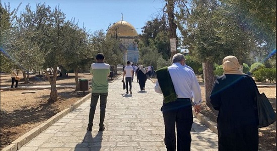 مشارکت ۲۰ هزار نفر در نماز جمعه مسجدالاقصی