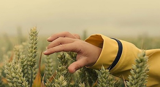 مروری بر اسباب معنوی موثر در افزایش رزق