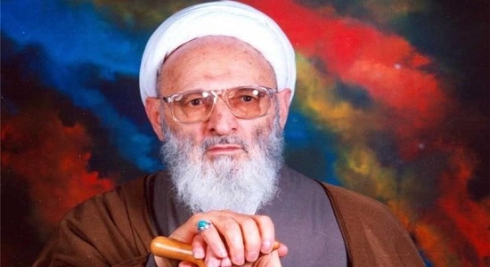 علامه حسن زاده آملی رحمه الله علیه؛ نمازى كه با او محشورى (2)