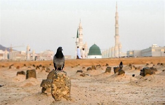 سالروز تخریب بقیع به روایت مرحوم آیت الله العظمی صافی گلپایگانی