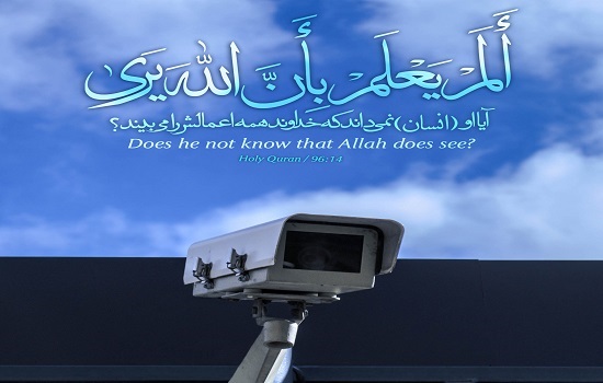 فصل آشتی؛ حتما می بیندم