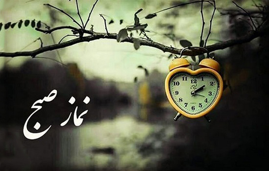 استاد بیاتی؛ اینگونه خواب نمانیم