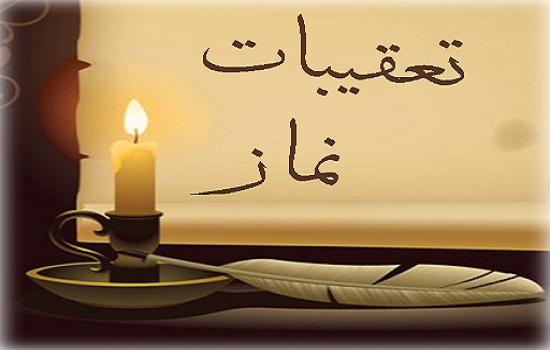  این تعقیبات غوغا می کند!