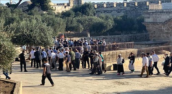 نمازگزاران مسجدالاقصی بار دیگر مورد آزار پلیس اسرائیل قرار گرفتند